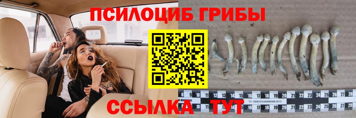 Ялуторовск  Псилоцибиновые грибы Magic Shrooms  Вход с VPN  Псилоцибиновые грибы Psilocybe 